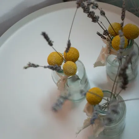 Billie 公寓 斯普利特