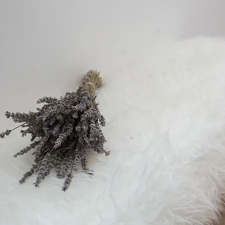 Apartment Billie Split