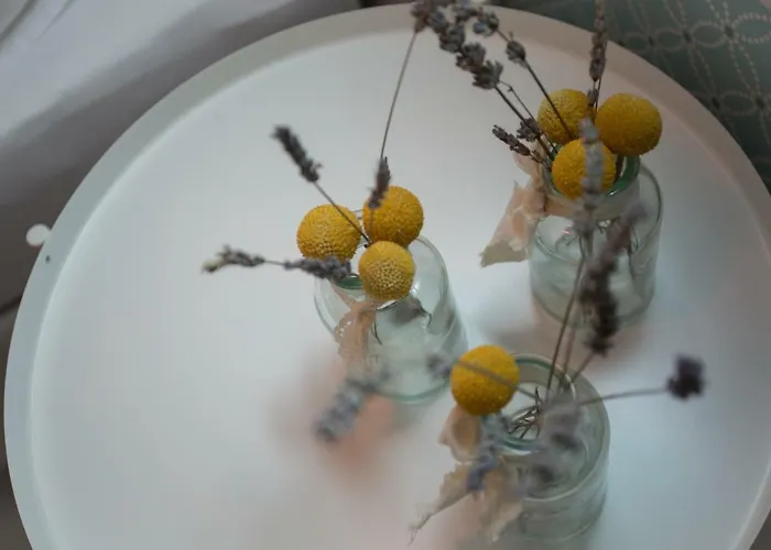 Billie Apartment Split